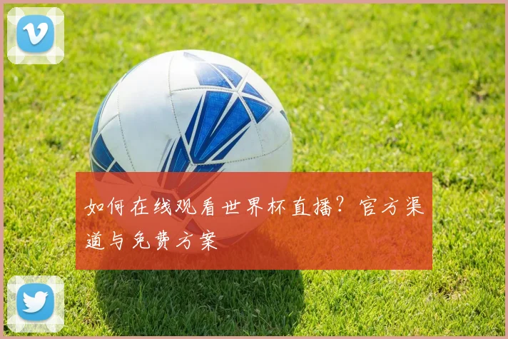 如何在线观看世界杯直播?官方渠道与免费方案
