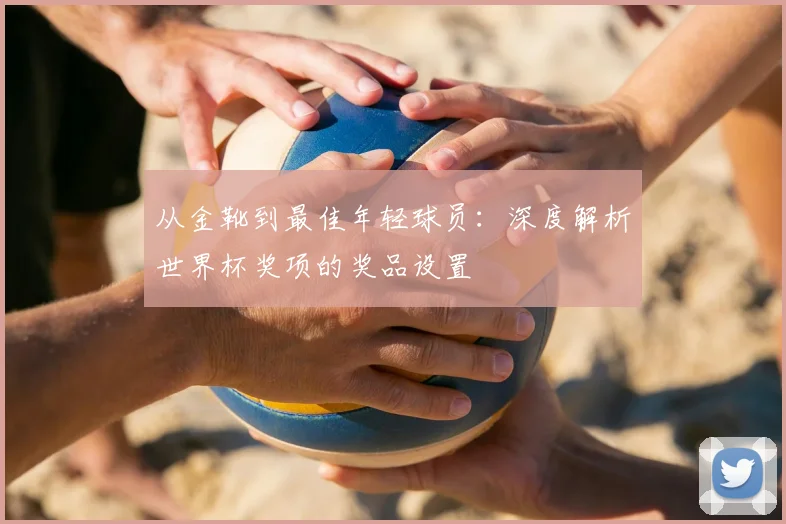 从金靴到最佳年轻球员：深度解析世界杯奖项的奖品设置