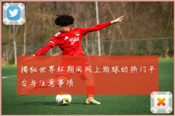 揭秘世界杯期间网上购球的热门平台与注意事项