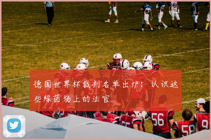 德国世界杯裁判名单出炉：认识这些绿茵场上的法官