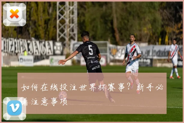 如何在线投注世界杯赛事?新手必看注意事项