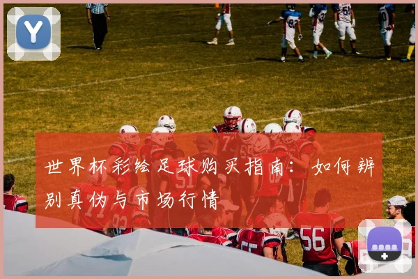 世界杯彩绘足球购买指南：如何辨别真伪与市场行情