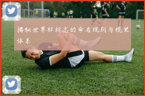 揭秘世界杯标志的命名规则与视觉体系