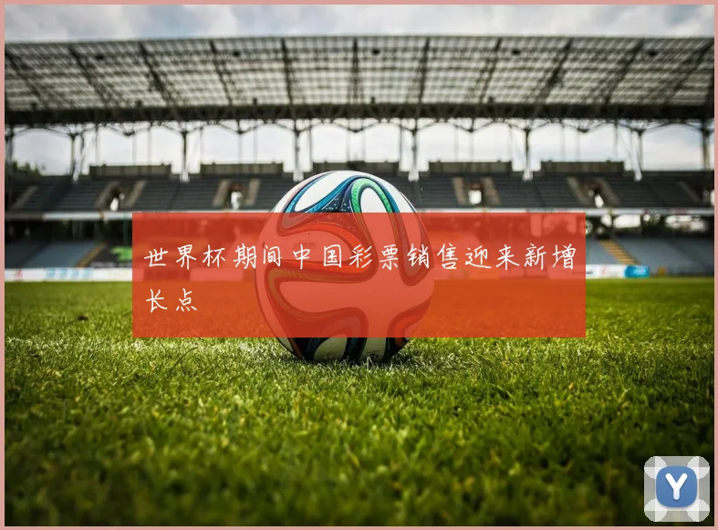 世界杯期间中国彩票销售迎来新增长点
