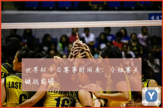世界杯今日赛事时间表：小组赛关键战前瞻