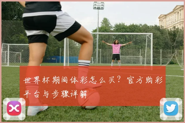世界杯期间体彩怎么买？官方购彩平台与步骤详解