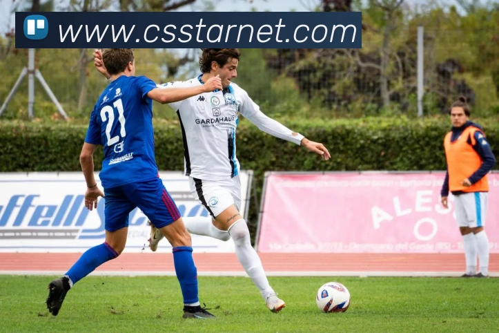 爱游戏手机版官网平台生态图